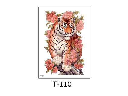 O1CN01zFmVWG1fiMwvSU7dB !!3546764040 0 cib