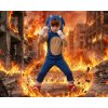 Kostým Ježko Sonic - X