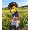 MASKOT - CHASE z labkovej patroly na prenájom